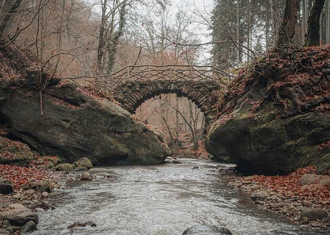 The Bridge