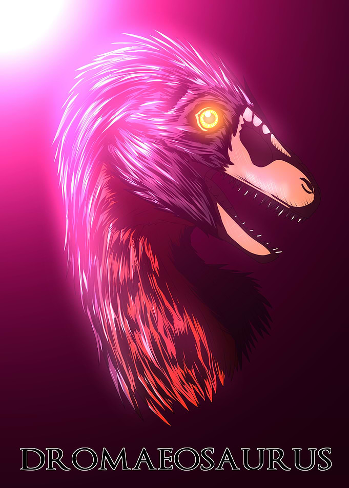 Dromaeosaurus
