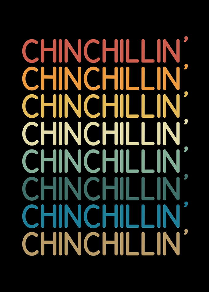 Chinchillin colourful