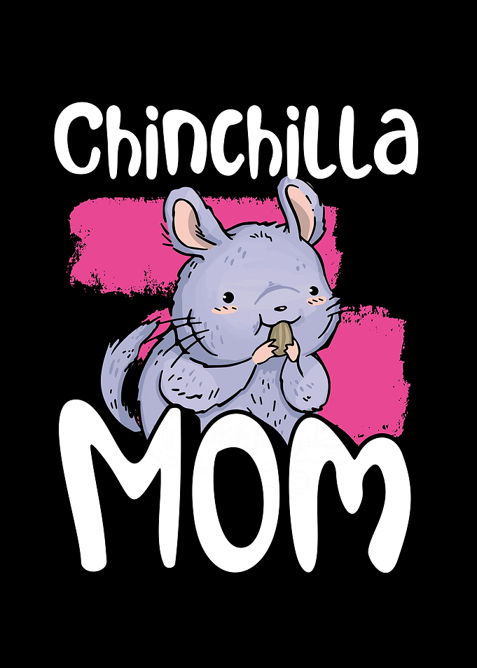 Chinchilla mom