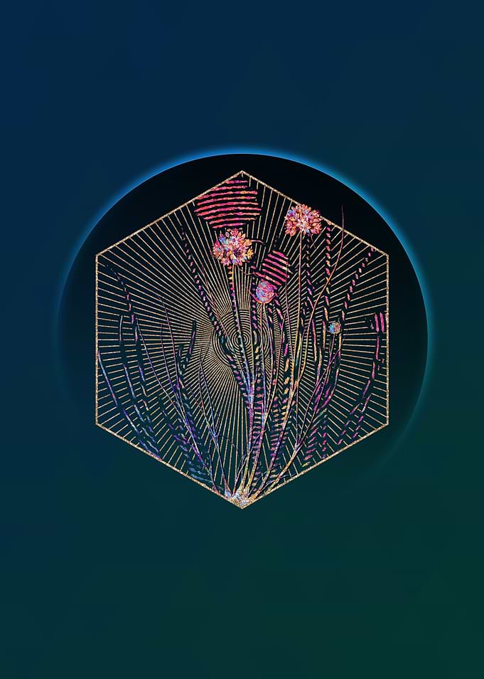 Allium Globosum Mosaic