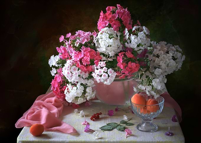White phlox and apricots