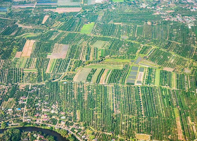 Aerial View Landscape