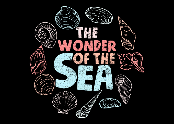 Seashell Collector Sea