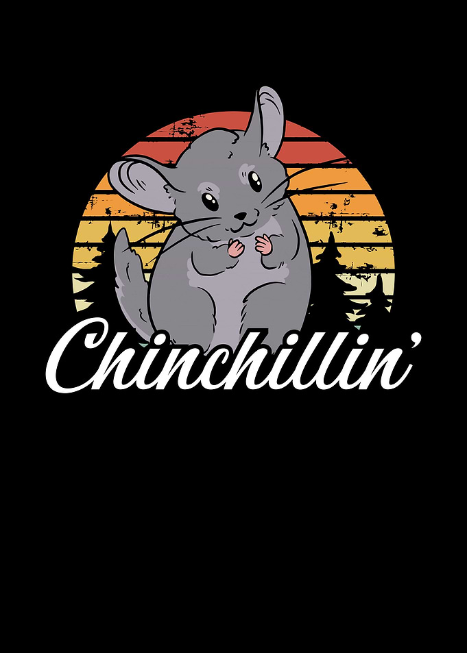 Cute Chinchilla retro
