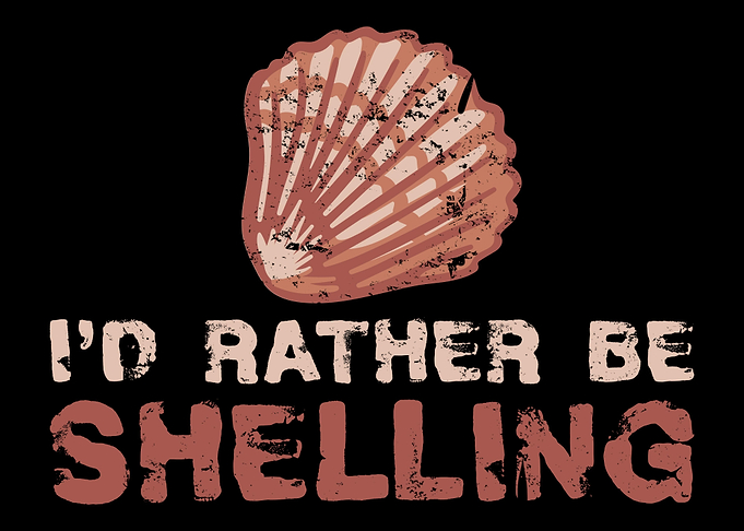 Seashell Collector Sea