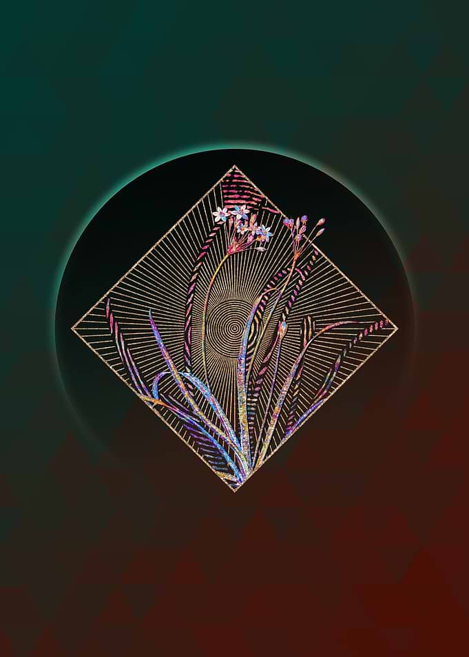 Allium Fragrans Mosaic