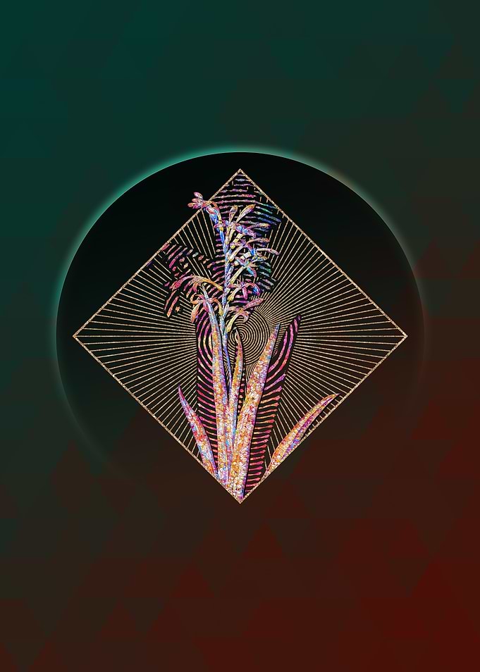 Antholyza Aethiopica