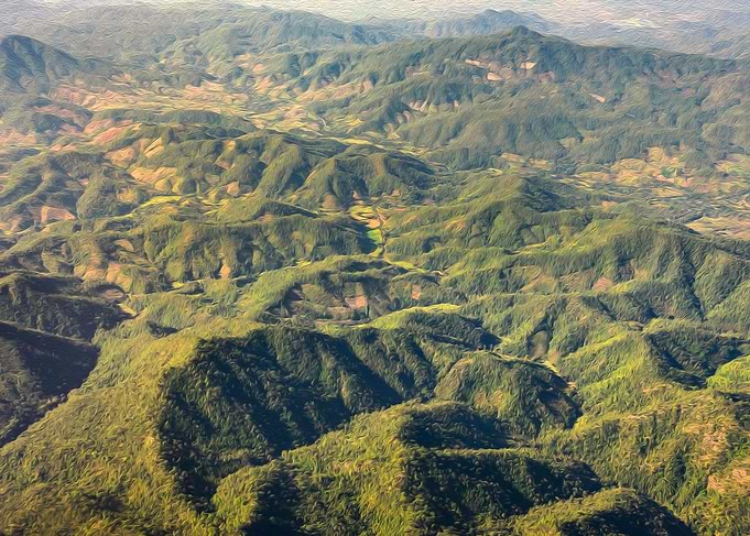 Aerial View Landscape