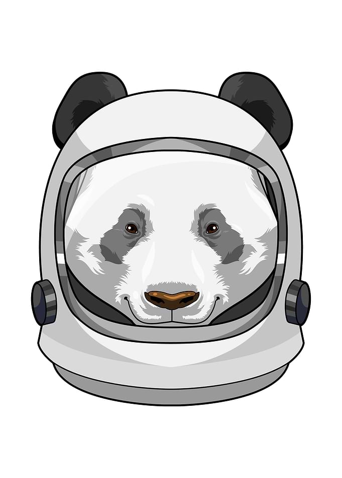 Panda Astronaut