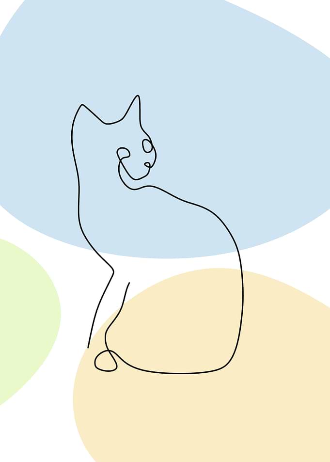 cat aestgetic art minimal