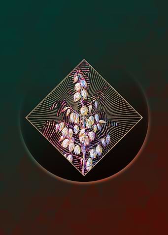 Adams Needle Mosaic
