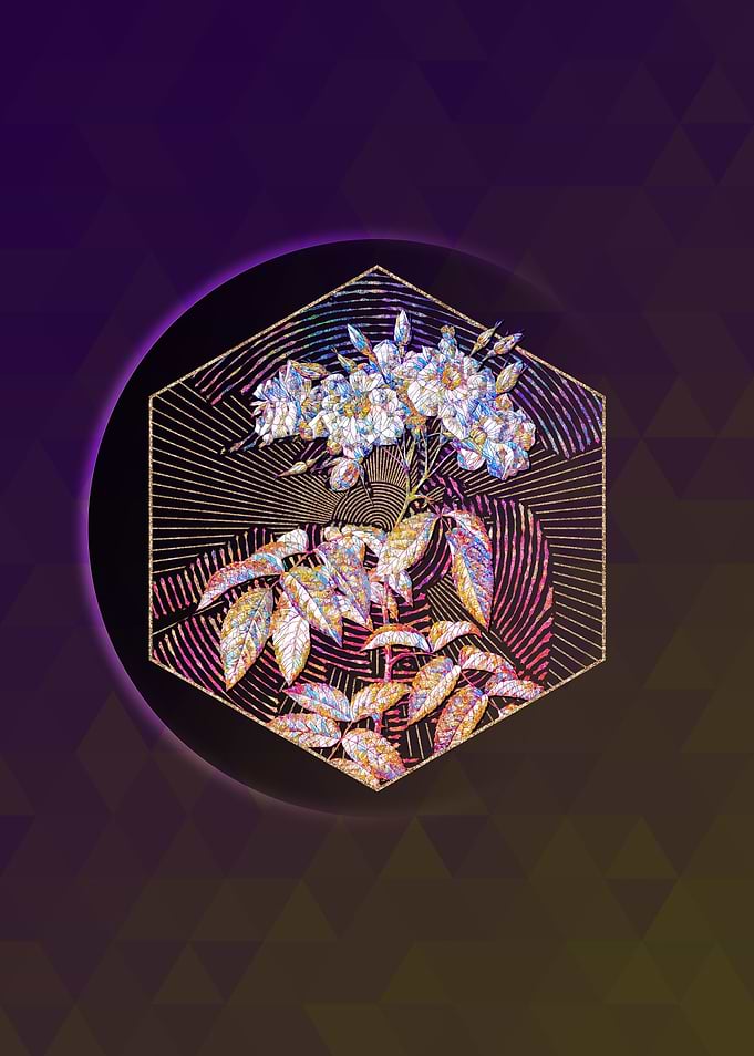 Geometric Mosaic Musk Rose