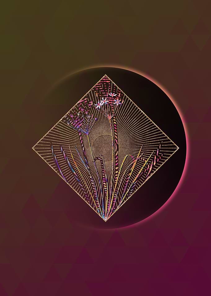 Allium Straitum Mosaic