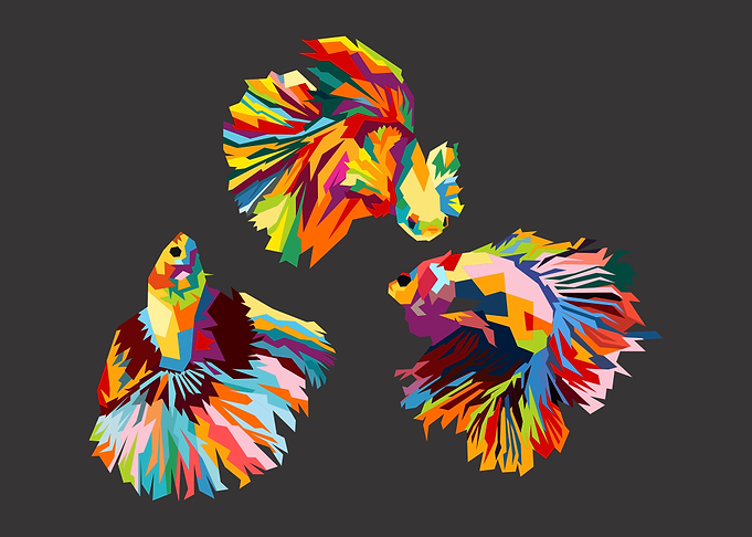 decorative fish