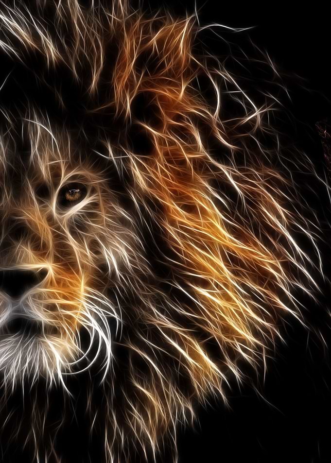 Lion Face
