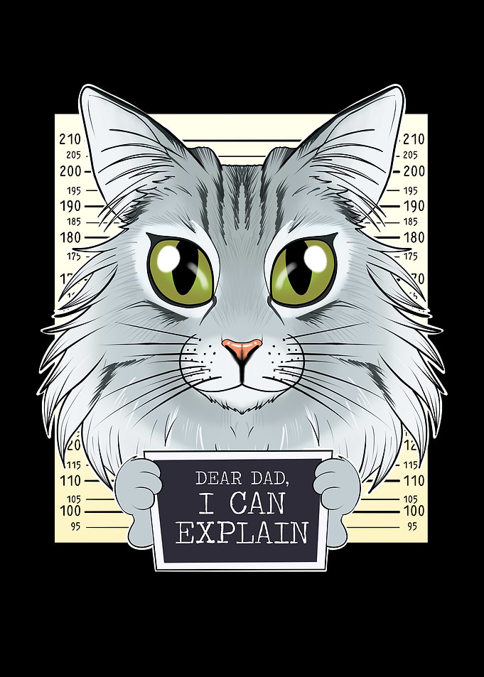 Norwegian Forest Cat Dad