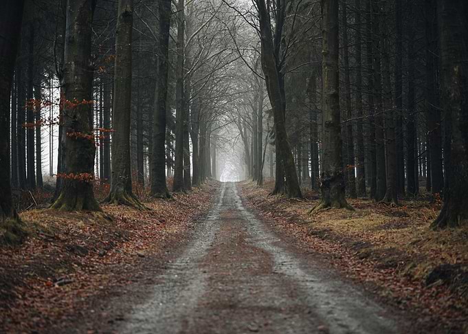 The Road