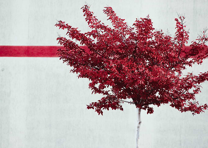 Follow the red line