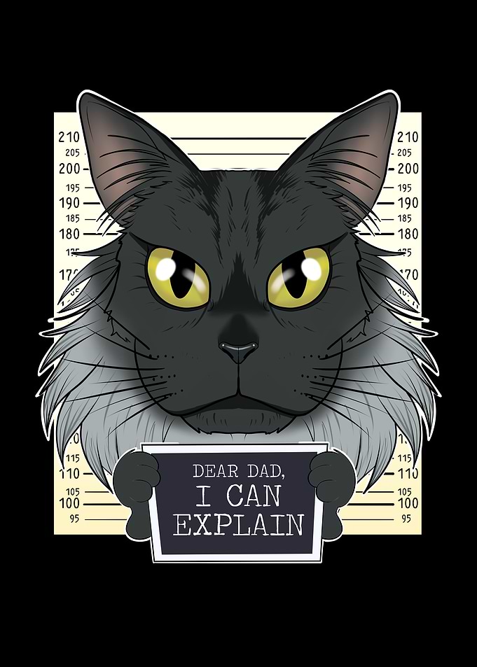 Maine Coon Cat Dad