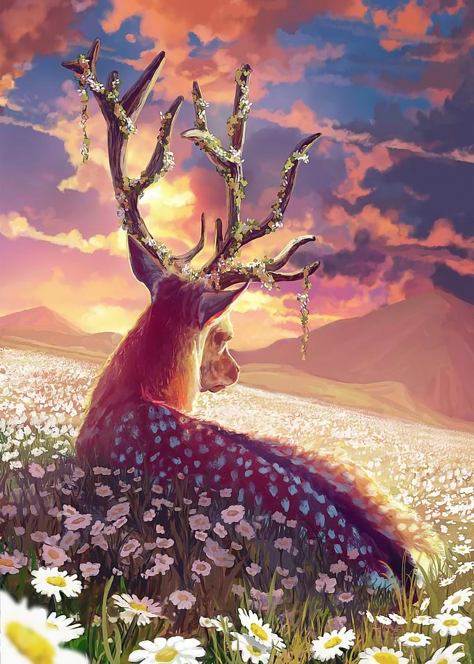 Fields of Daisies