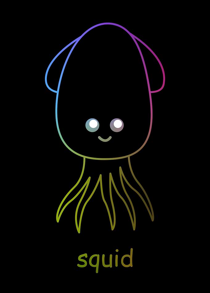 Animal squid