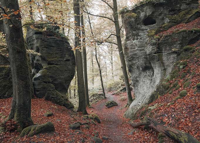 The rocks
