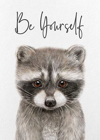 Raccoon