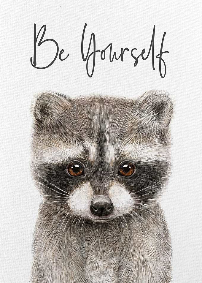 Raccoon
