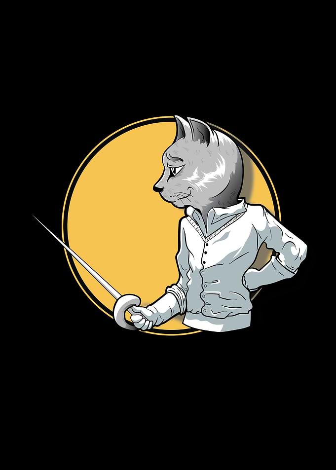 For Swordman And Fencers