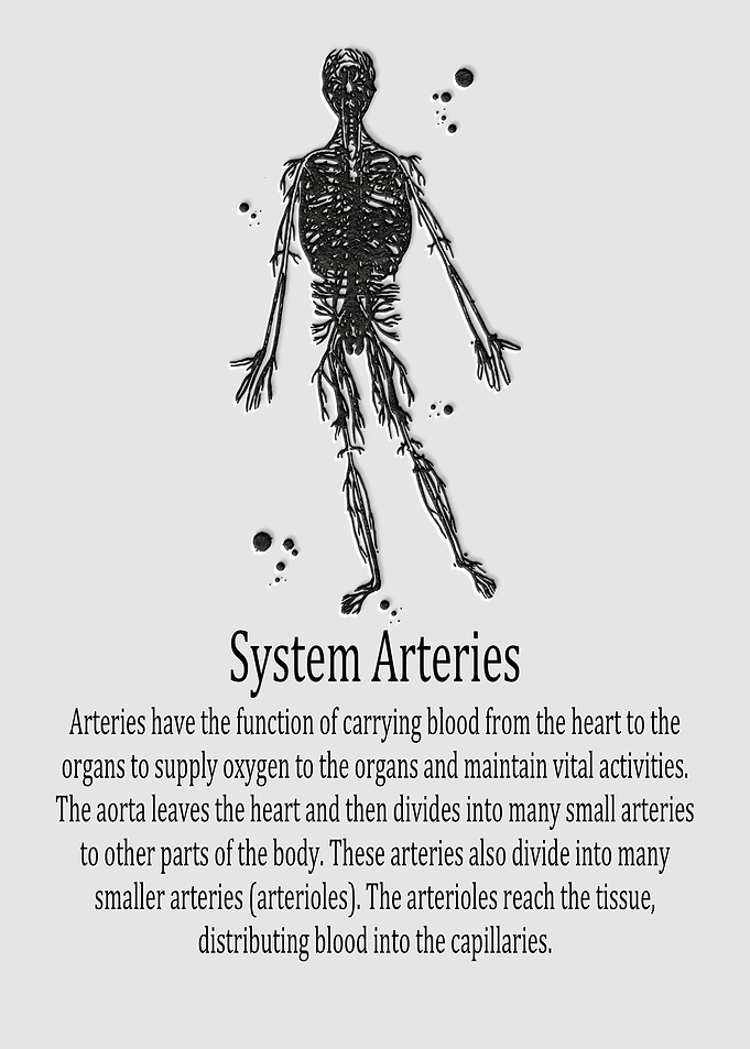 System Arteries