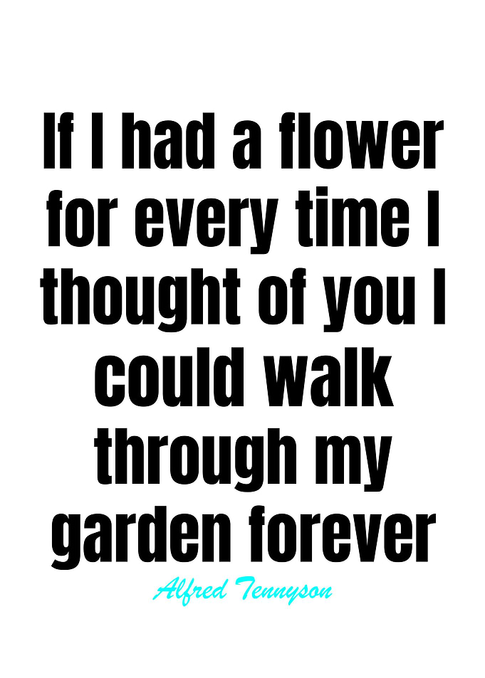 Love Quotes