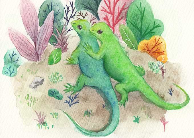 Lizard couple