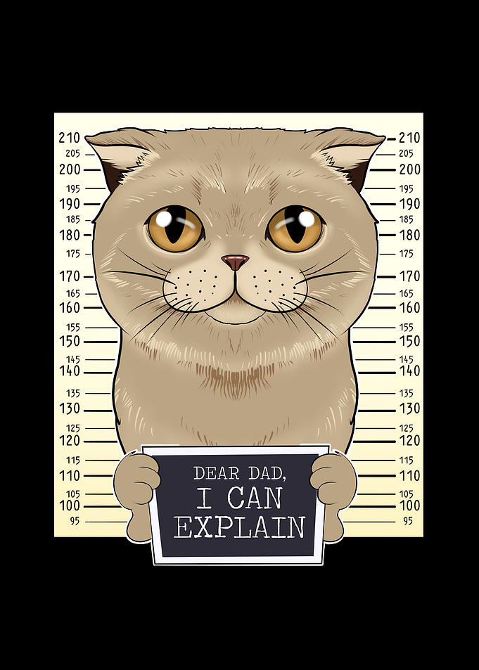 Scottish Fold Cat Dad