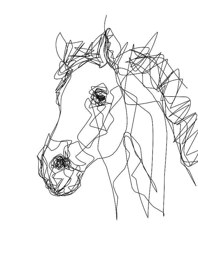 horse