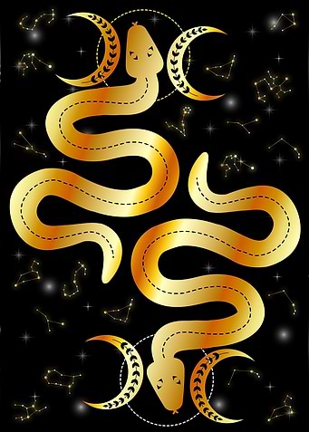 occult sacral snakes