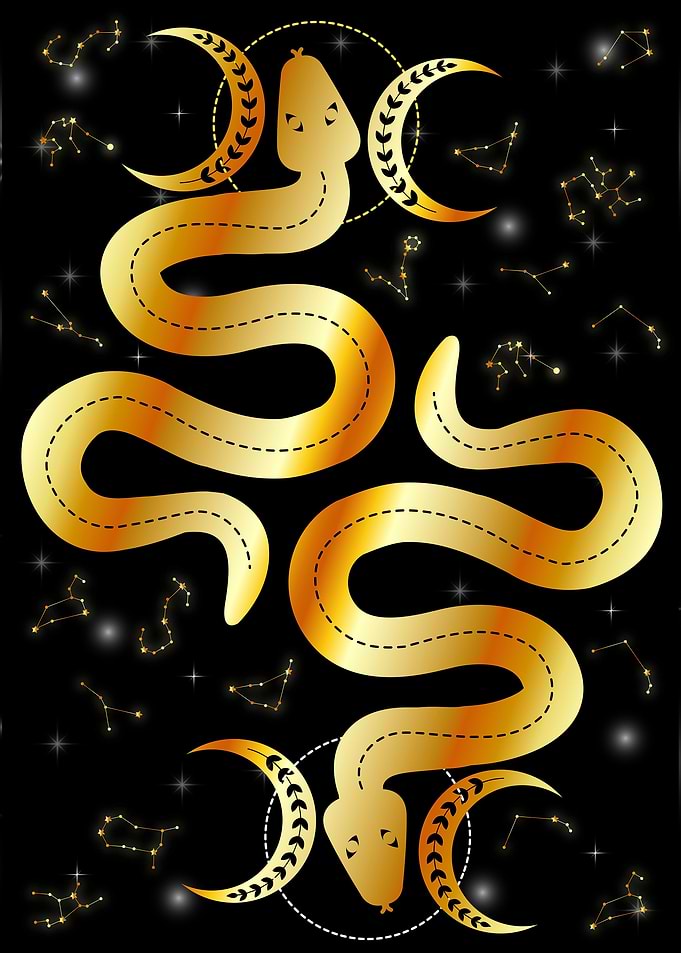 occult sacral snakes