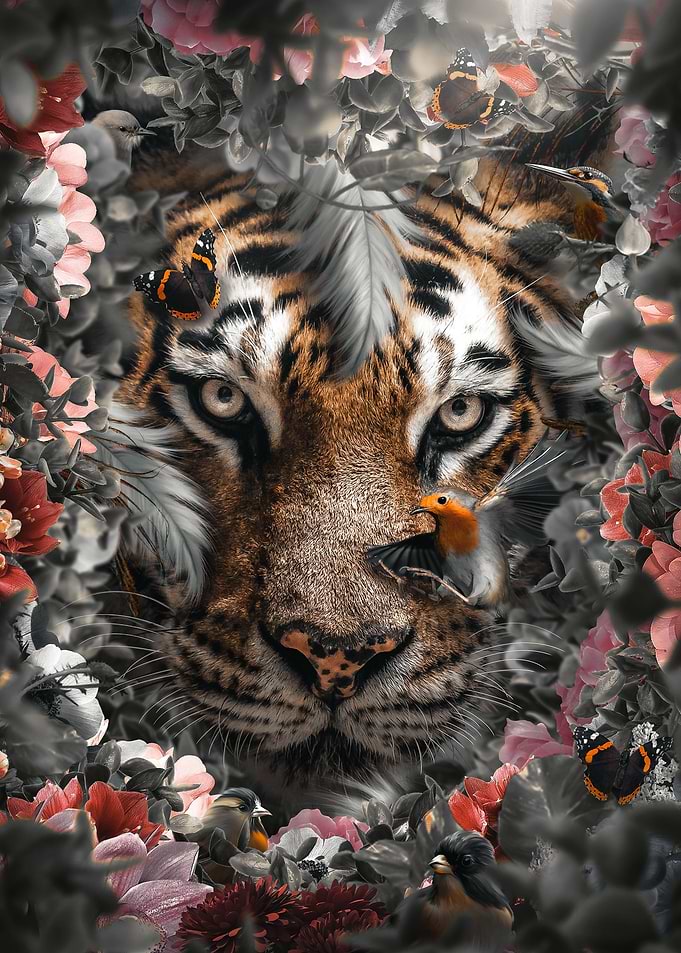 Flowered Tiger