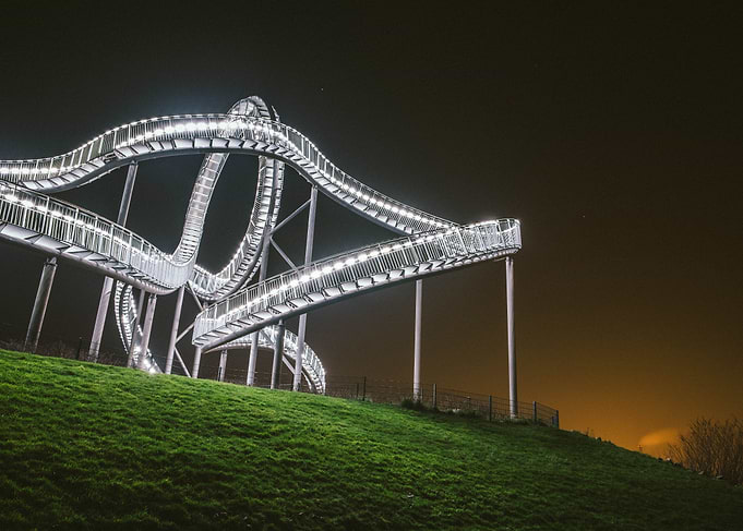 tiger and turtle