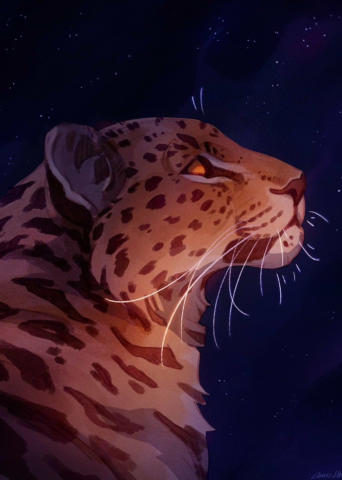 Star Gazer