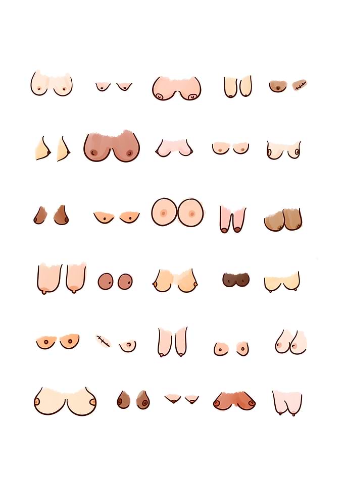 Boob Chart
