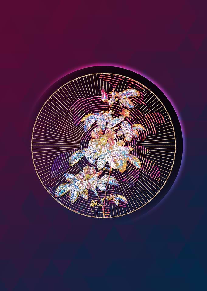 Single May Rose Mosaic