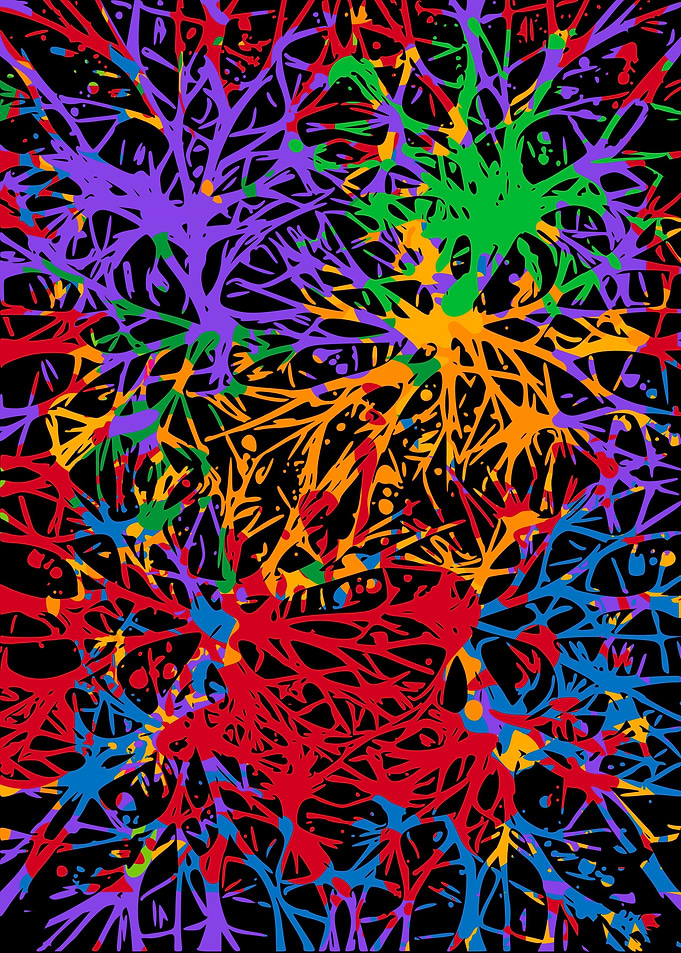 Neural Connections