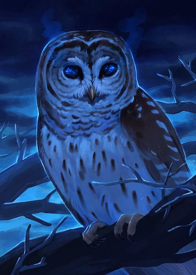 Blue Night