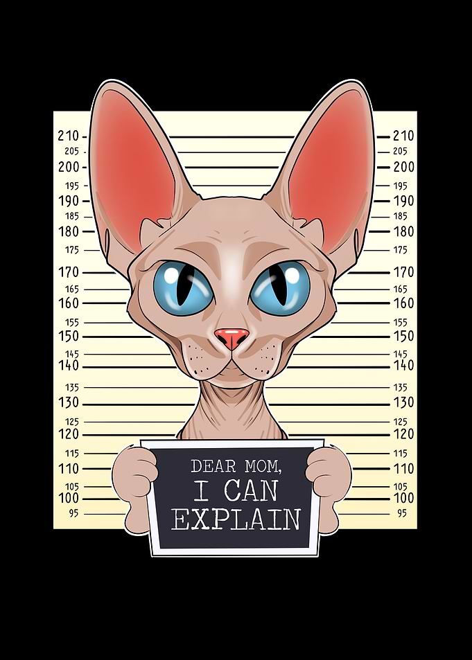 Sphynx Cat Mom