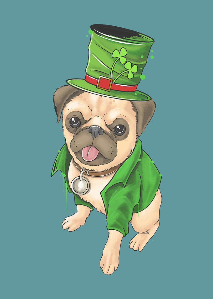 Dog Cute
