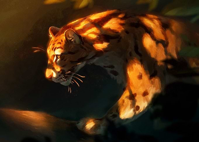 Clouded Leopard