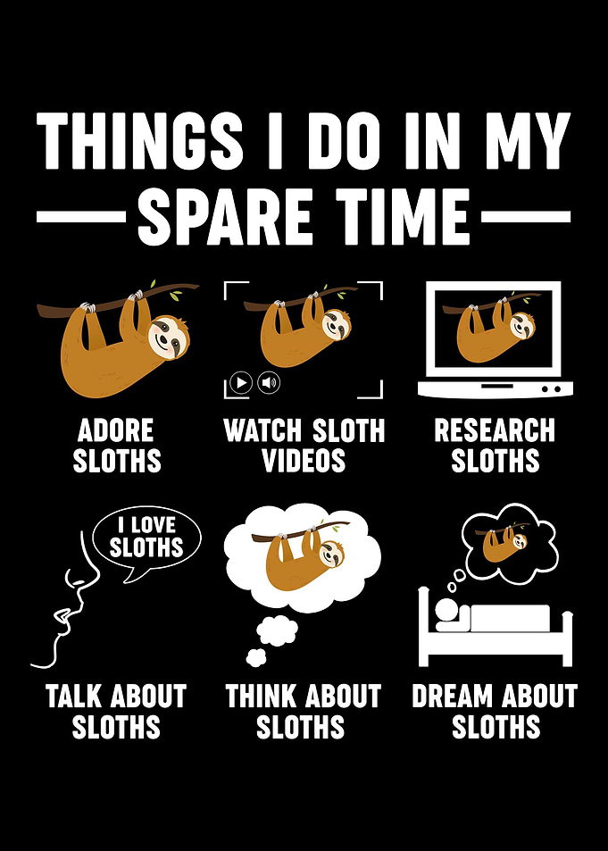 Sloth lazy people funny