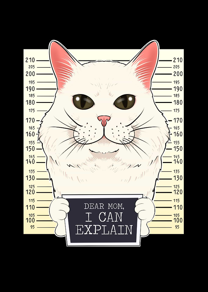 Turkish Angora Cat Mom