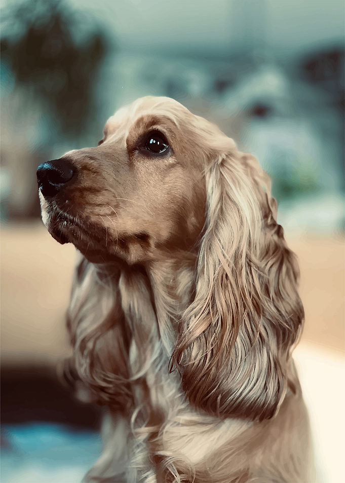Dog cute
